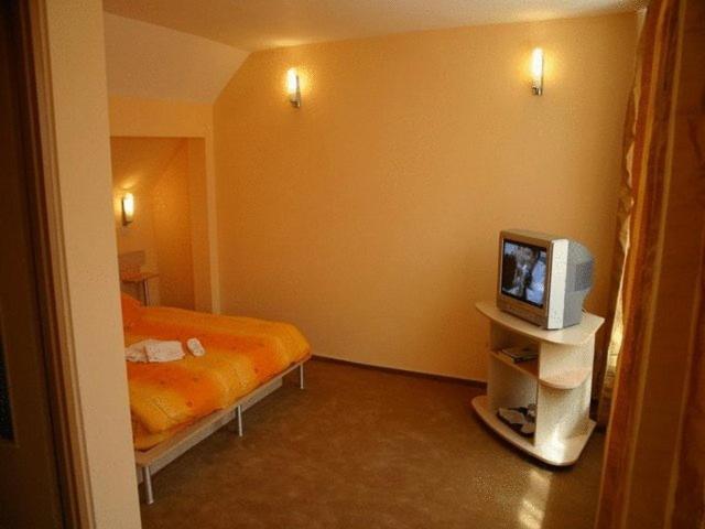Suri Guesthouse ブラショフ エクステリア 写真