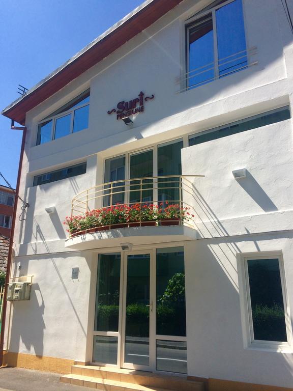Suri Guesthouse ブラショフ エクステリア 写真