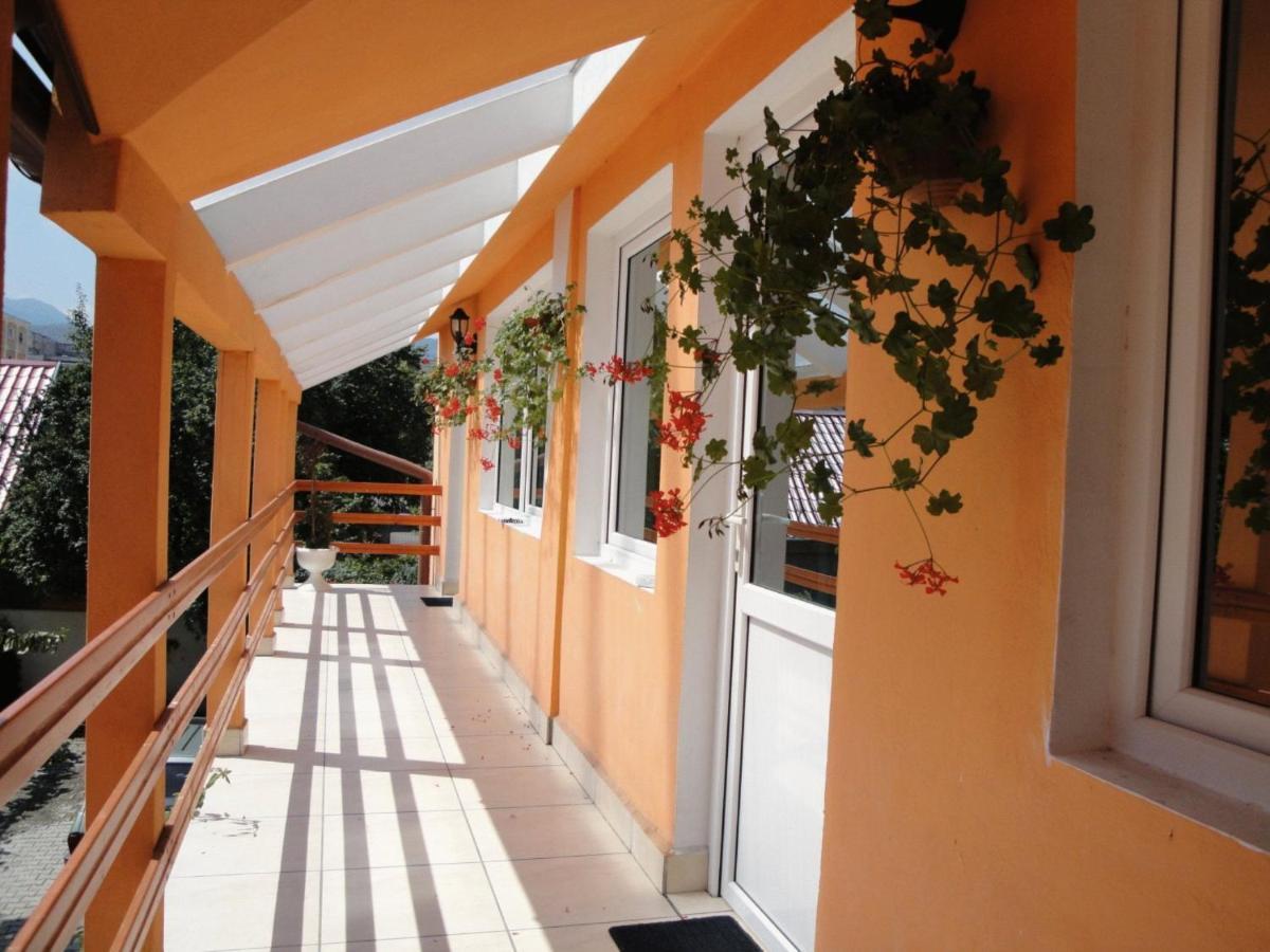 Suri Guesthouse ブラショフ エクステリア 写真